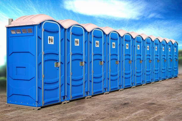 Types of Portable Toilets We Offer in Lake Camelot, IL